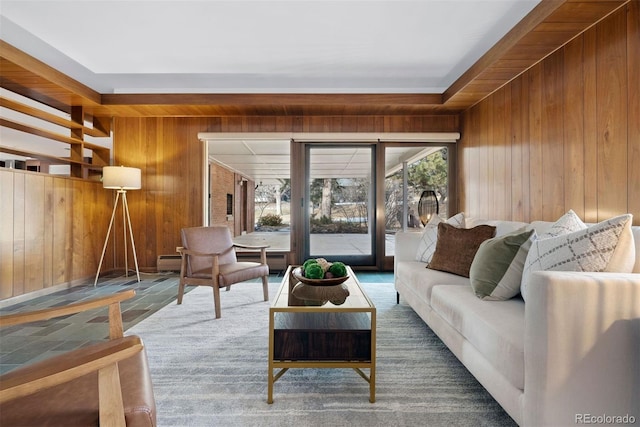 living area with wood walls