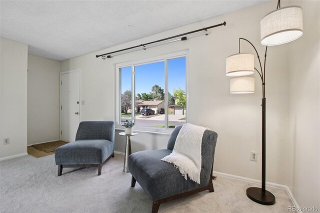1791 S Laredo St, Aurora, CO 80017 - sitting room with carpet floors