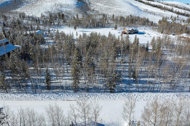 2381 County Road 88, Granby, CO 80446