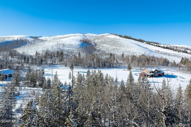 2381 County Road 88, Granby, CO 80446