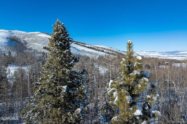 2381 County Road 88, Granby, CO 80446