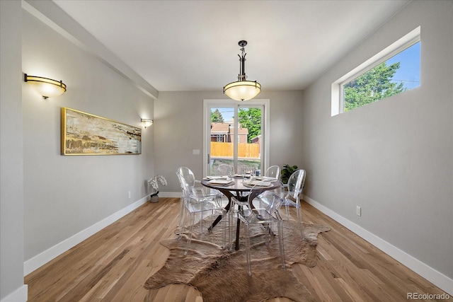 5838 S Louthan St, Littleton, CO 80120 - dining space with light wood-type flooring