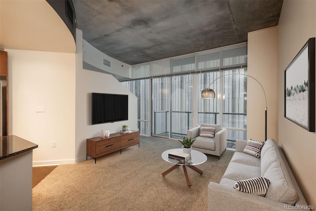 view of carpeted living room