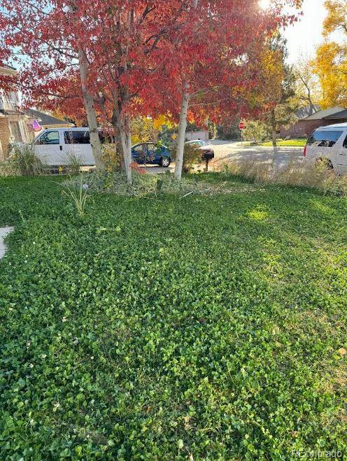 6487 W Weaver Ave, Littleton, CO 80123 - view of yard