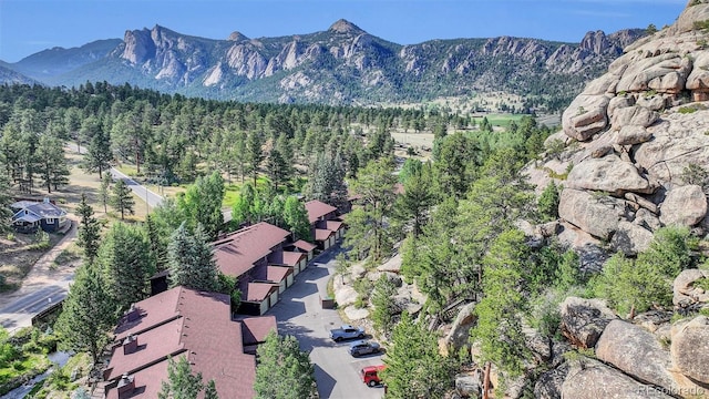 620 Macgregor Ave Unit 11, Estes Park, CO 80517 - view of mountain backdrop featuring a heavily wooded area