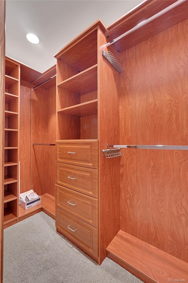 spacious closet featuring light carpet