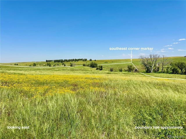 0 Wendling Trl, Kiowa, CO 80117 - photo 5