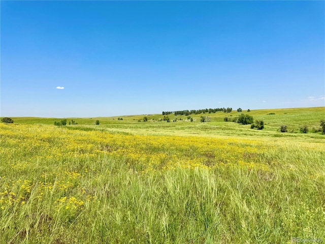 0 Wendling Trl, Kiowa, CO 80117 - photo 6