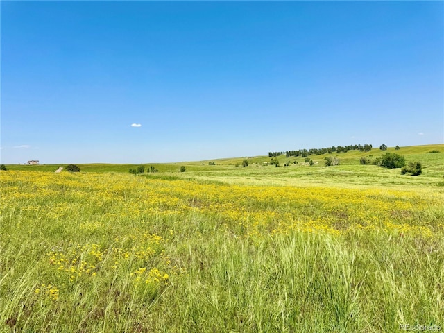 0 Wendling Trl, Kiowa, CO 80117 - photo 7
