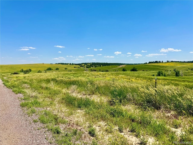 0 Wendling Trl, Kiowa, CO 80117 - photo 9
