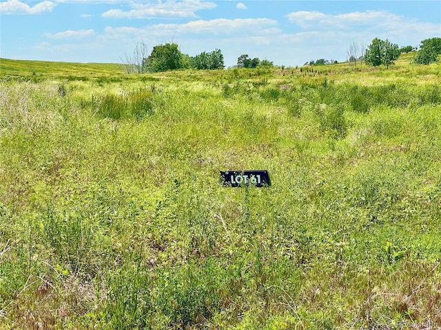 0 Wendling Trl, Kiowa, CO 80117 - photo 14