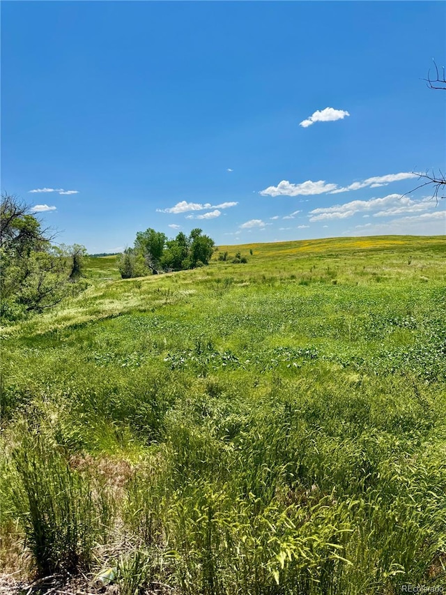 0 Wendling Trl, Kiowa, CO 80117 - photo 15