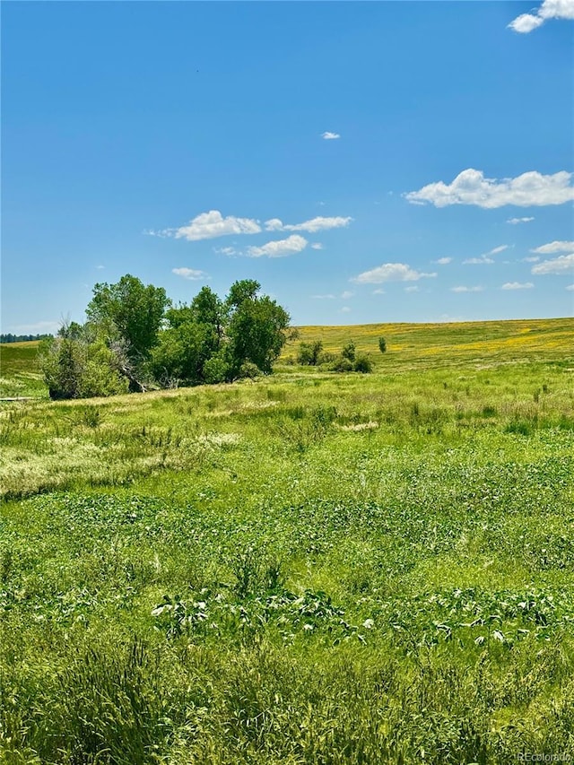 0 Wendling Trl, Kiowa, CO 80117 - photo 16