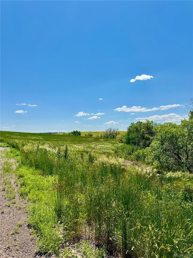 0 Wendling Trl, Kiowa, CO 80117 - photo 17