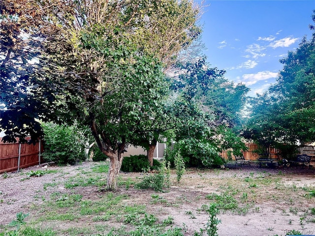 19156 E Arizona Pl, Aurora, CO 80017 - photo 27