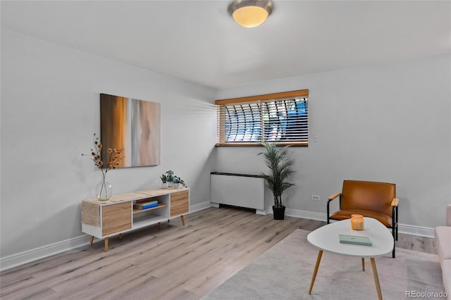 sitting room with light wood-type flooring