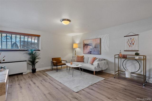 living room with light hardwood / wood-style flooring