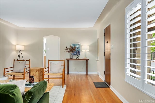 living room featuring light hardwood / wood-style floors