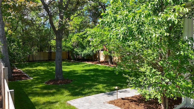 1519 16th St, Boulder, CO 80302 - view of yard