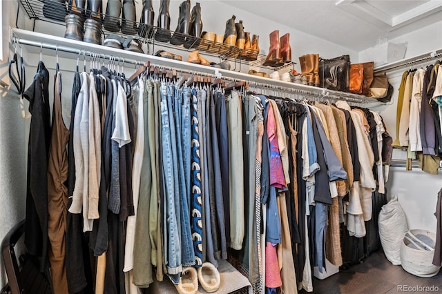 walk in closet featuring dark hardwood / wood-style floors