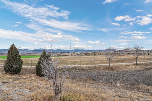 view of yard featuring a mountain view and a rural view