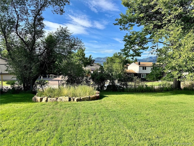 1502 Manitou Blvd, Colorado Springs, CO 80904 - photo 47