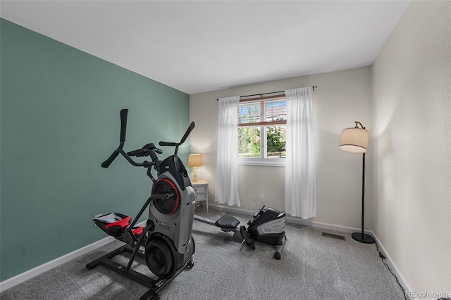 10743 W Turtle Mtn, Littleton, CO 80127 - workout area with baseboards and carpet floors