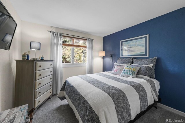 10743 W Turtle Mtn, Littleton, CO 80127 - bedroom featuring carpet and baseboards