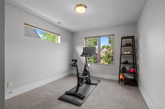 2523 N Humboldt St, Denver, CO 80205 - workout room featuring carpet floors and baseboards