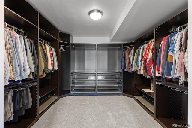 2523 N Humboldt St, Denver, CO 80205 - walk in closet with carpet floors