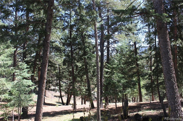 view of local wilderness with a view of trees