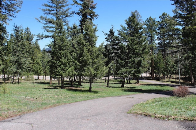 surrounding community featuring a yard