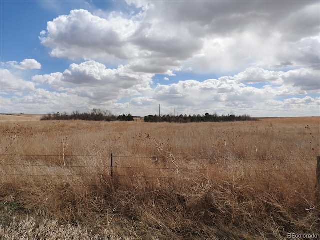 view of local wilderness with a rural view