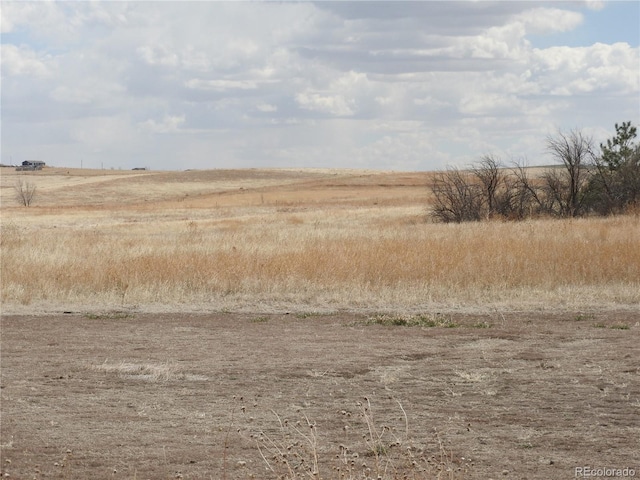 view of local wilderness with a rural view