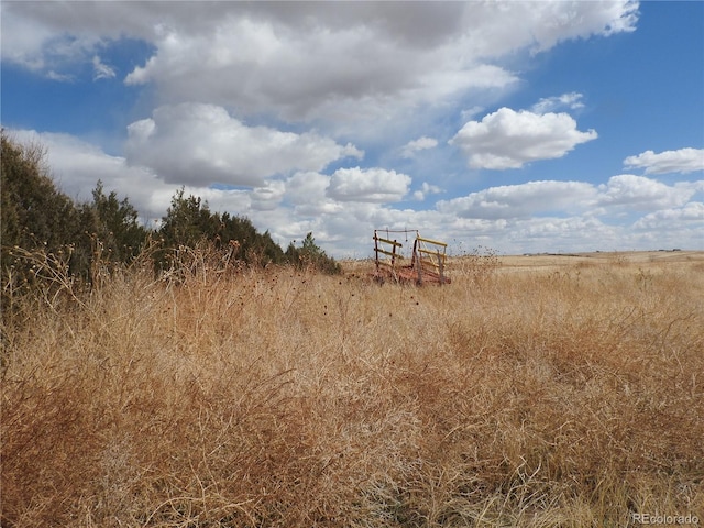 view of nature featuring a rural view