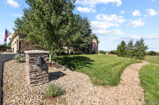 view of yard