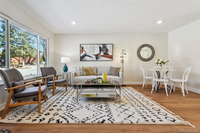 living room with hardwood / wood-style floors