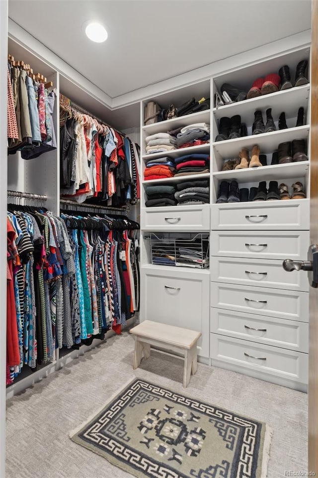 spacious closet featuring carpet