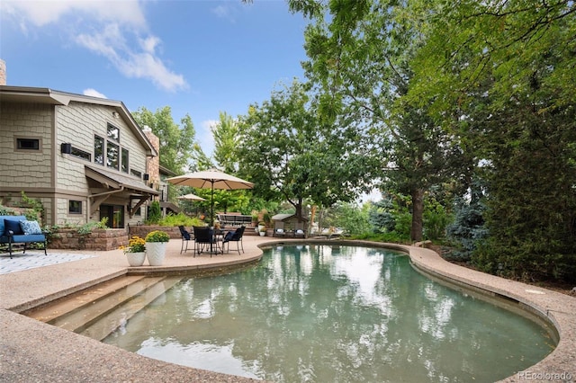 view of swimming pool featuring a patio area