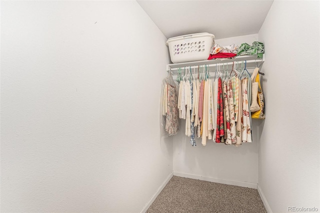 walk in closet with carpet floors