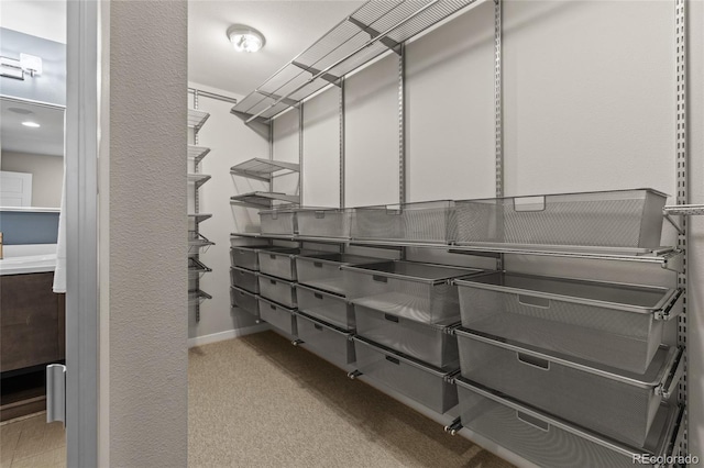 3384 Cranston Cir, Highlands Ranch, CO 80126 - walk in closet with carpet