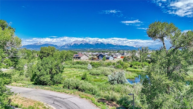 1112 Little River Ln, Poncha Springs, CO 81242