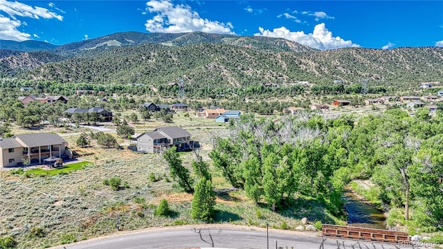 1112 Little River Ln, Poncha Springs, CO 81242