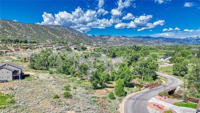 1112 Little River Ln, Poncha Springs, CO 81242