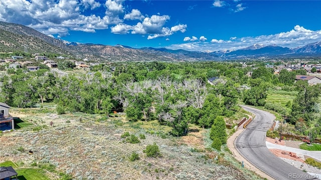 1112 Little River Ln, Poncha Springs, CO 81242