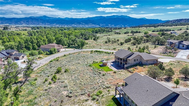 1112 Little River Ln, Poncha Springs, CO 81242