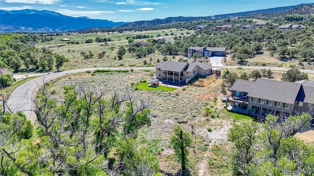 1112 Little River Ln, Poncha Springs, CO 81242
