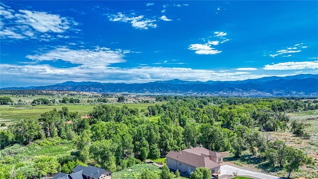 1112 Little River Ln, Poncha Springs, CO 81242