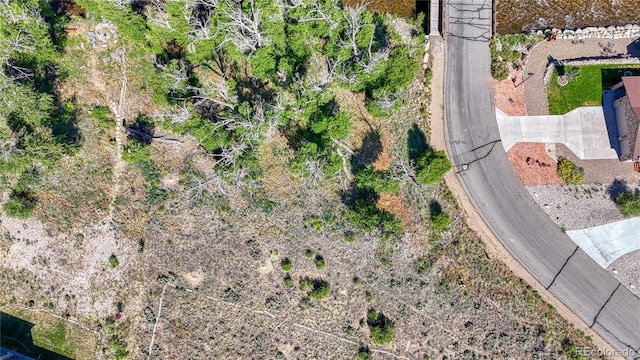 1112 Little River Ln, Poncha Springs, CO 81242
