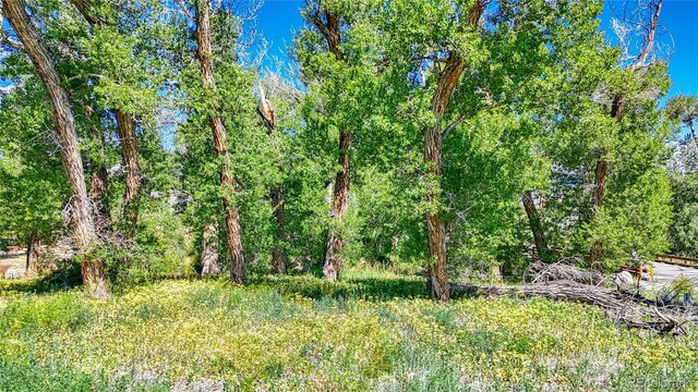 1112 Little River Ln, Poncha Springs, CO 81242